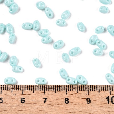 Baking Paint Glass Seed Beads SEED-T006-03G-1