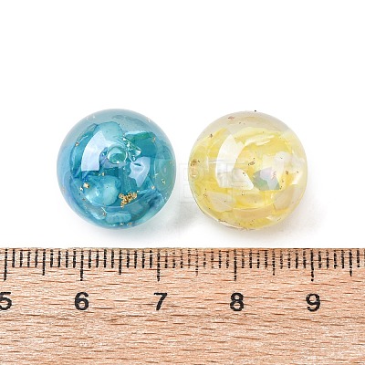 Transparent Resin & Natural Shell Beads RESI-B039-07-1