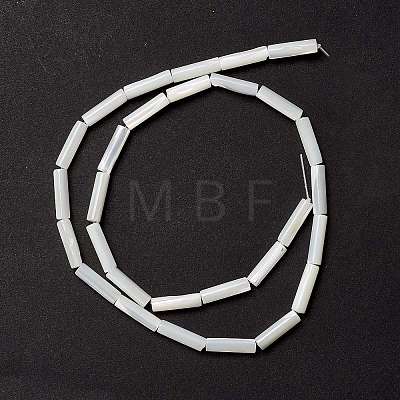 Natural Trochid Shell/Trochus Shell Beads X-SSHEL-O001-26B-1