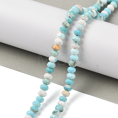 Natural Howlite Beads Strands G-H025-03D-09-1