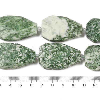 Natural Green Spot Jasper Beads Strands G-P548-B03-01-1