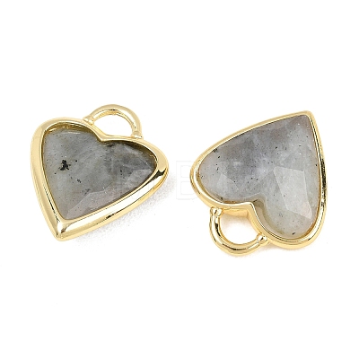 Natural Labradorite Faceted Pendants G-Z154-01G-07-1