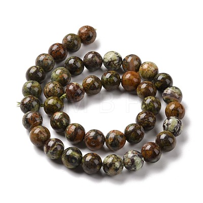 Natural Gemstone Beads Strands G-C238-02B-1