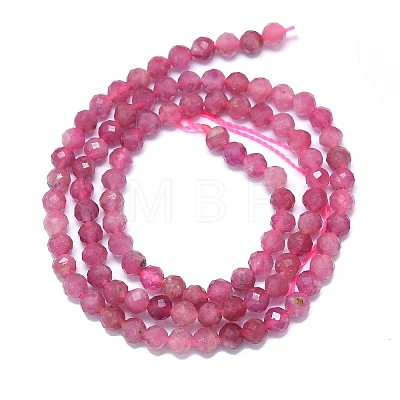 Natural Tourmaline Beads Strands G-G106-C02-03-1