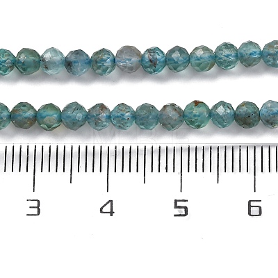 Natural Apatite Beads Strands G-F748-J01-02A-1