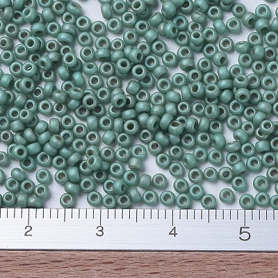 MIYUKI Round Rocailles Beads SEED-G007-RR2028-1