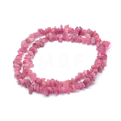 Natural Tourmaline Beads Strands G-P406-12-1