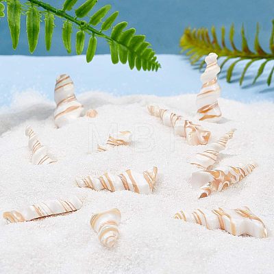 Natural Trochid Shell/Trochus Shell Beads SSHEL-NB0001-20-1-1