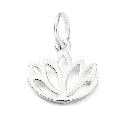 925 Sterling Silver Charms STER-M119-10S-1