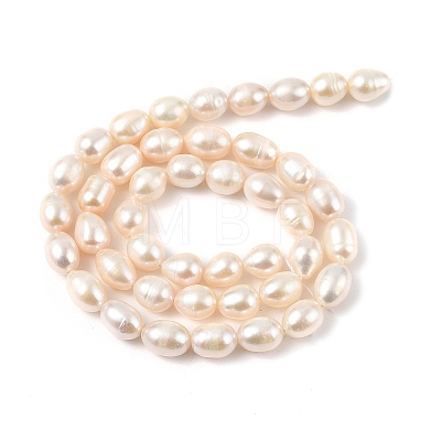 Natural Cultured Freshwater Pearl Beads Strands PEAR-I007-01D-07C-1