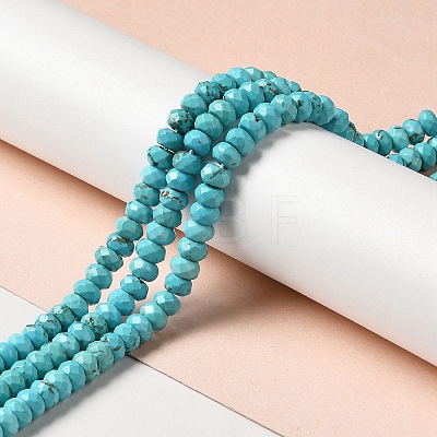 Natural Howlite Beads Strands G-C025-10A-1