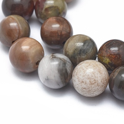 Natural Petrified Wood Beads Strands G-I254-07B-1
