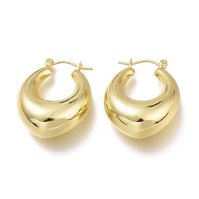 Brass Hoop Earrings EJEW-H104-19G-1