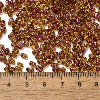 Spray Painted Glass Seed Beads SEED-F005-03A-03-1