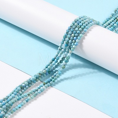 Natural Blue Opal Beads Strands G-K315-B05-B-1