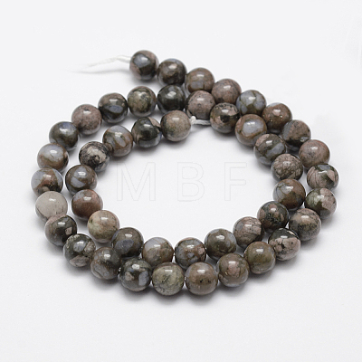 Natural Llanite Beads Strands G-K209-04A-6mm-1