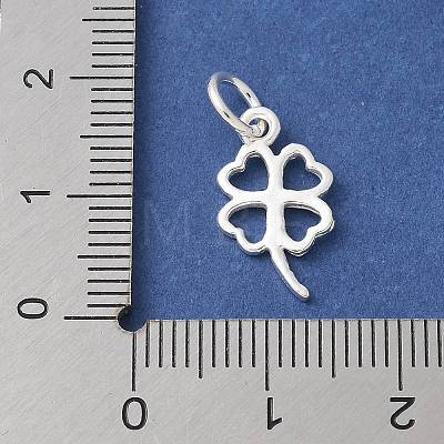 S925 Sterling Silver Pendant STER-H115-08B-S-1