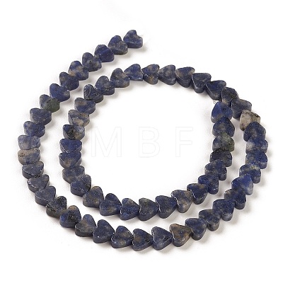Natural Sodalite Beads Strands G-M403-A08-1