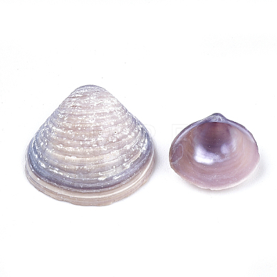 Clam Shell Beads SSHEL-S258-42-1