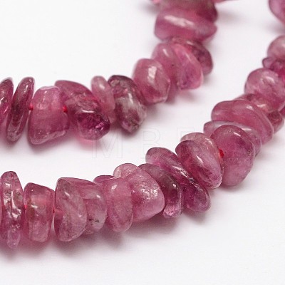 Chips Natural Tourmaline Beads Strands G-N0164-04B-1