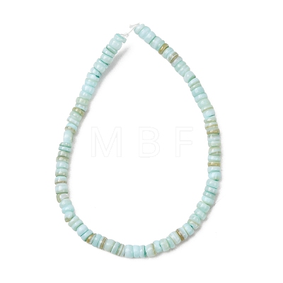 Dyed Natural Freshwater Shell Beads Strands SH-CBA2978-05C-1