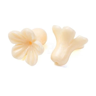 Dyed Synthetic Coral Carved Beads GG-CBAE64B-01A-06-1