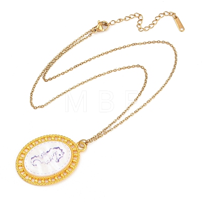 Ocean Theme Alloy Acrylic Sea Horse Pendant 201 Stainless Steel Cable Chain Necklaces for Women NJEW-F369-01A-1