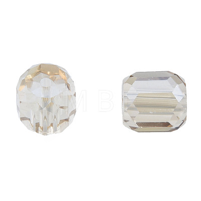 Transparent Glass Beads EGLA-N002-49-A04-1