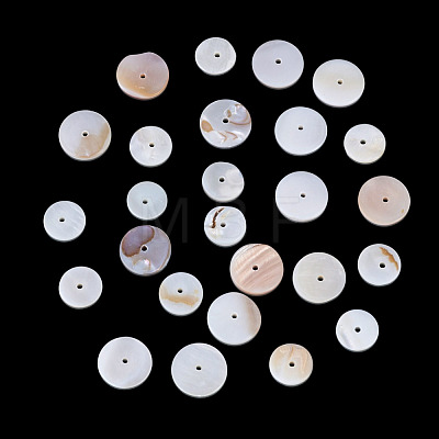 1 Strand 2 Styles Natural Freshwater Shell Beads Strands SHEL-TA0001-43-1