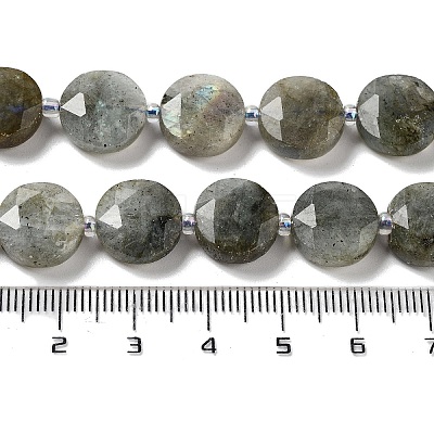 Natural Labradorite Beads Strands G-NH0004-001-1