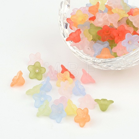 Mixed Color Frosted Transparent Acrylic Flower Beads X-M-PL554-1