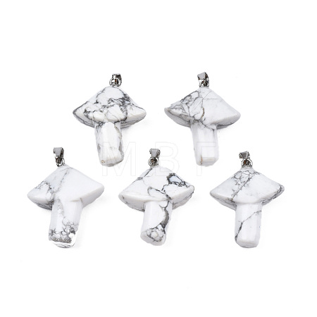 Natural Howlite Pendants G-R480-02P-1