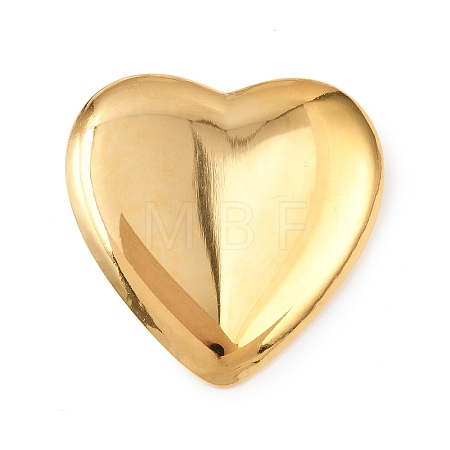 304 Stainless Steel Big Pendants STAS-B115-05B-1