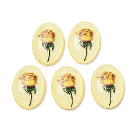 Transparent Resin Cabochons LS-RESI-K033-11B-1