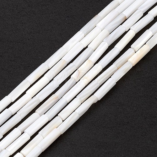 Natural Freshwater Shell Beads Strands SHEL-M018-10-1