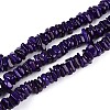 Natural Freshwater Shell Beads Strands SHEL-T020-40B-1