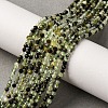 Natural Prehnite Beads Strands G-L629-B05-2mm-1