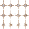 30Pcs Alloy Rhinestone Pendants FIND-SC0011-04-1