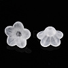 Transparent Acrylic Beads X-PL554-A-2