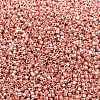 MIYUKI Delica Beads X-SEED-J020-DB2503-2