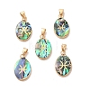 Constellation Natural Paua Shell Pendants KK-P265-01G-06-1