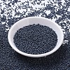 MIYUKI Round Rocailles Beads X-SEED-G007-RR2001-2