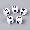 Opaque Acrylic Beads SACR-N020-04A-K-1