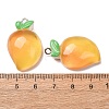 Fruit Theme Opaque Resin Imitation Food Pendants RE-CBA49A8-04C-3