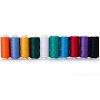 10 Colors Polyester Sewing Thread PW-WG4C286-02-1