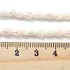 Natural Keshi Pearl Cultured Freshwater Pearl Beads Strands PEAR-P062-19-5