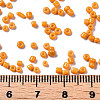 Glass Seed Beads SEED-S060-A-F429-5