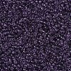 MIYUKI Round Rocailles Beads SEED-JP0008-RR0157-3