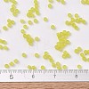 MIYUKI Delica Beads SEED-J020-DB0743-4