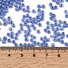 Glass Seed Beads SEED-A011-3mm-146-4